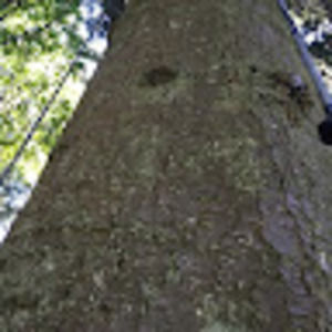 Meet your Posher, Braden